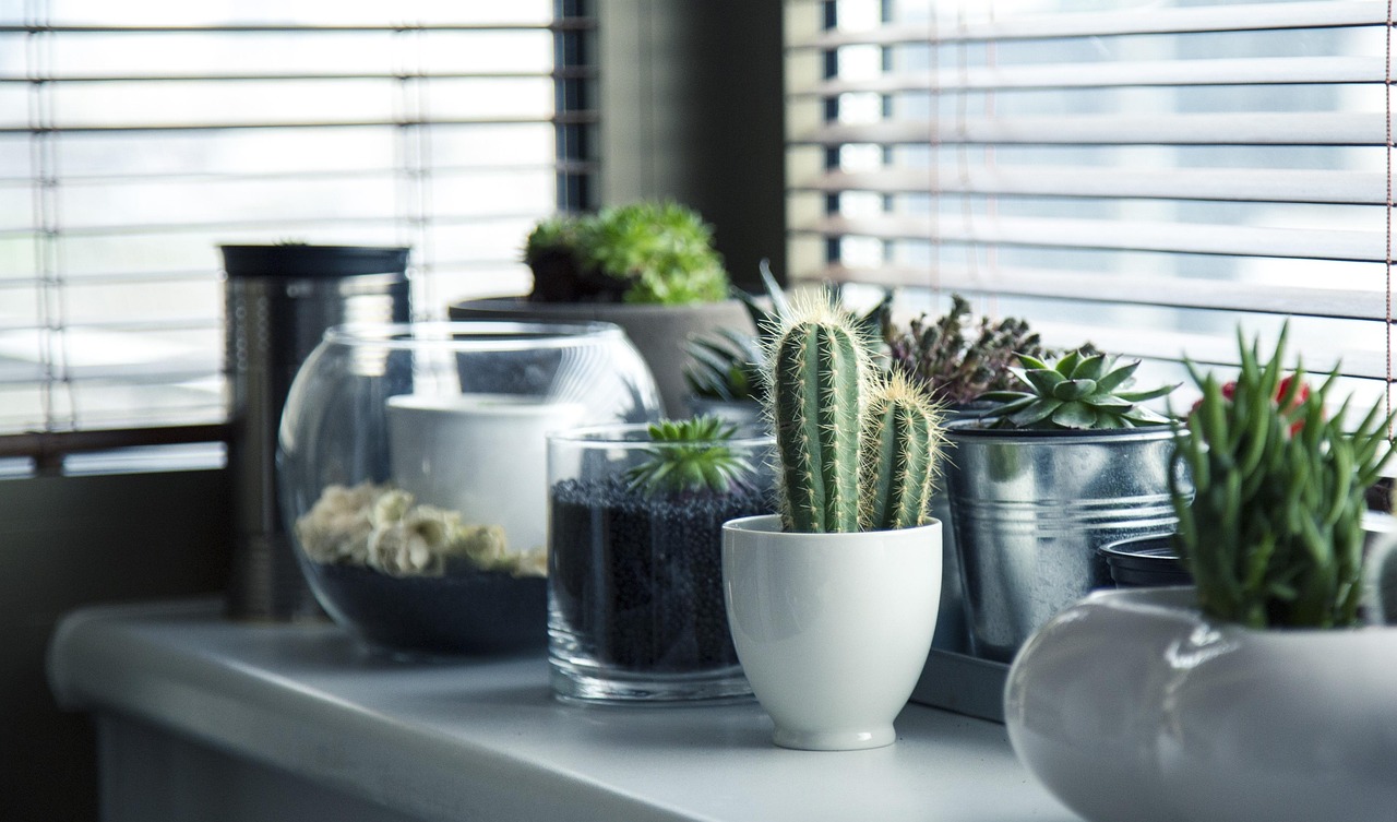 Kunstzinnig gerangschikte planten met zuiverende eigenschappen. Kunstzinnig gerangschikte planten met zuiverende eigenschappen.